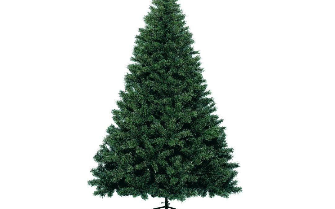 Pre-order your real Christmas tree!