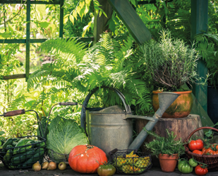 Gardening Tips for Autumn