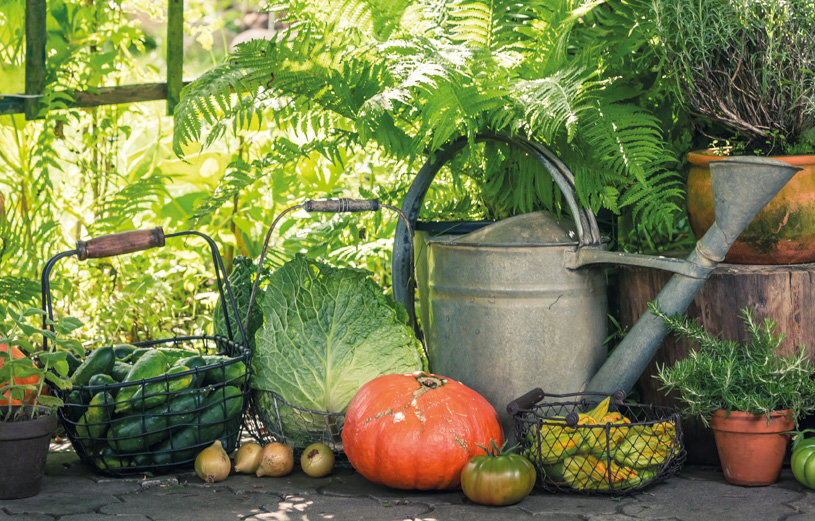 Gardener planting summer flowers