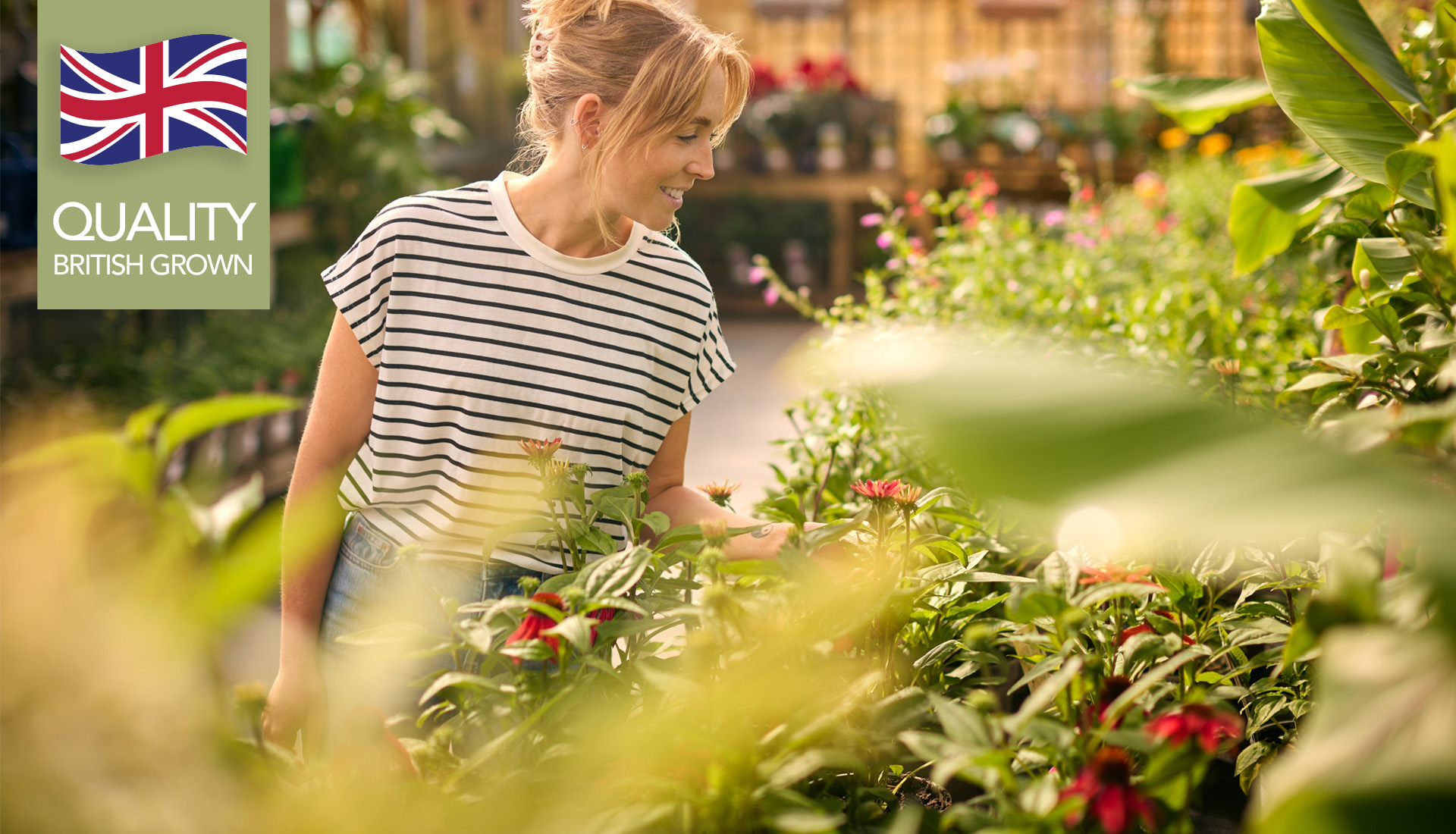 Fairways Quality British Grown Plants