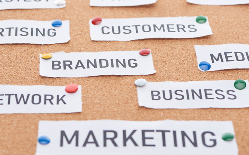 Marketing Vacancy