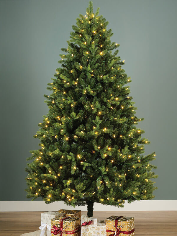 Christmas Trees Christmas Trees