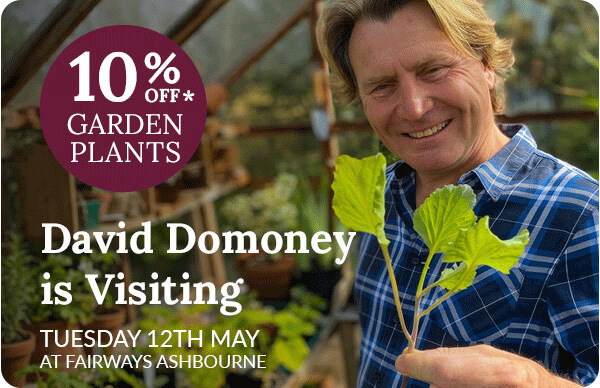 David Domoney